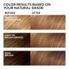 imageLOreal Paris Feria MultiFaceted Shimmering Permanent Hair Color High Intensity Hair Dye for 3X Highlights 515 Chocolate Glaze 1 Kit63 Sparkling Amber Light Golden Brown