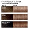 imageLOreal Paris Feria MultiFaceted Shimmering Permanent Hair Color High Intensity Hair Dye for 3X Highlights 515 Chocolate Glaze 1 KitB61 Downtown Brown HiLift Cool Brown