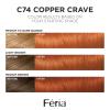 imageLOreal Paris Feria MultiFaceted Shimmering Permanent Hair Color High Intensity Hair Dye for 3X Highlights 515 Chocolate Glaze 1 KitC74 Copper Crave Intense Copper