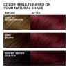 imageLOreal Paris Feria MultiFaceted Shimmering Permanent Hair Color High Intensity Hair Dye for 3X Highlights 515 Chocolate Glaze 1 KitR48 Red Velvet Intense Deep Auburn