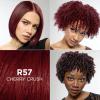 imageLOreal Paris Feria MultiFaceted Shimmering Permanent Hair Color High Intensity Hair Dye for 3X Highlights 515 Chocolate Glaze 1 KitR57 Cherry Crush Intense Medium Auburn