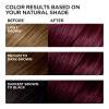 imageLOreal Paris Feria MultiFaceted Shimmering Permanent Hair Color High Intensity Hair Dye for 3X Highlights 515 Chocolate Glaze 1 KitV38 Violet Noir Intense Deep Violet