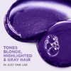 image:imageLOreal Paris Sulfate Free Brass Toning Purple Conditioner for Blonde Bleached Silver or Brown Highlighted Hair EverPure 68 Fl Oz Packaging May Vary68 Fl Oz Pack of 2
